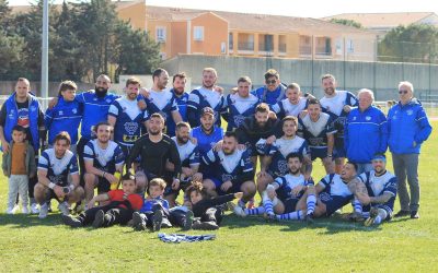 Les Mérinos rentrent sur le pré