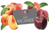 SAS Racamier